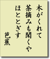 木がくれて 茶摘みも聞くや ほととぎす 芭蕉